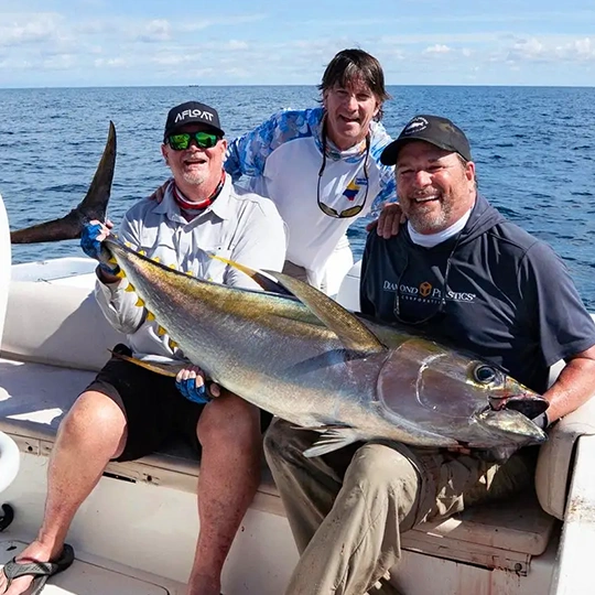 Yellowfin Tuna Join our 2027 hosted saltwater inshore and offshore fishing week in Colombia with Afloat Fishing and stay at Anigua Beach House.