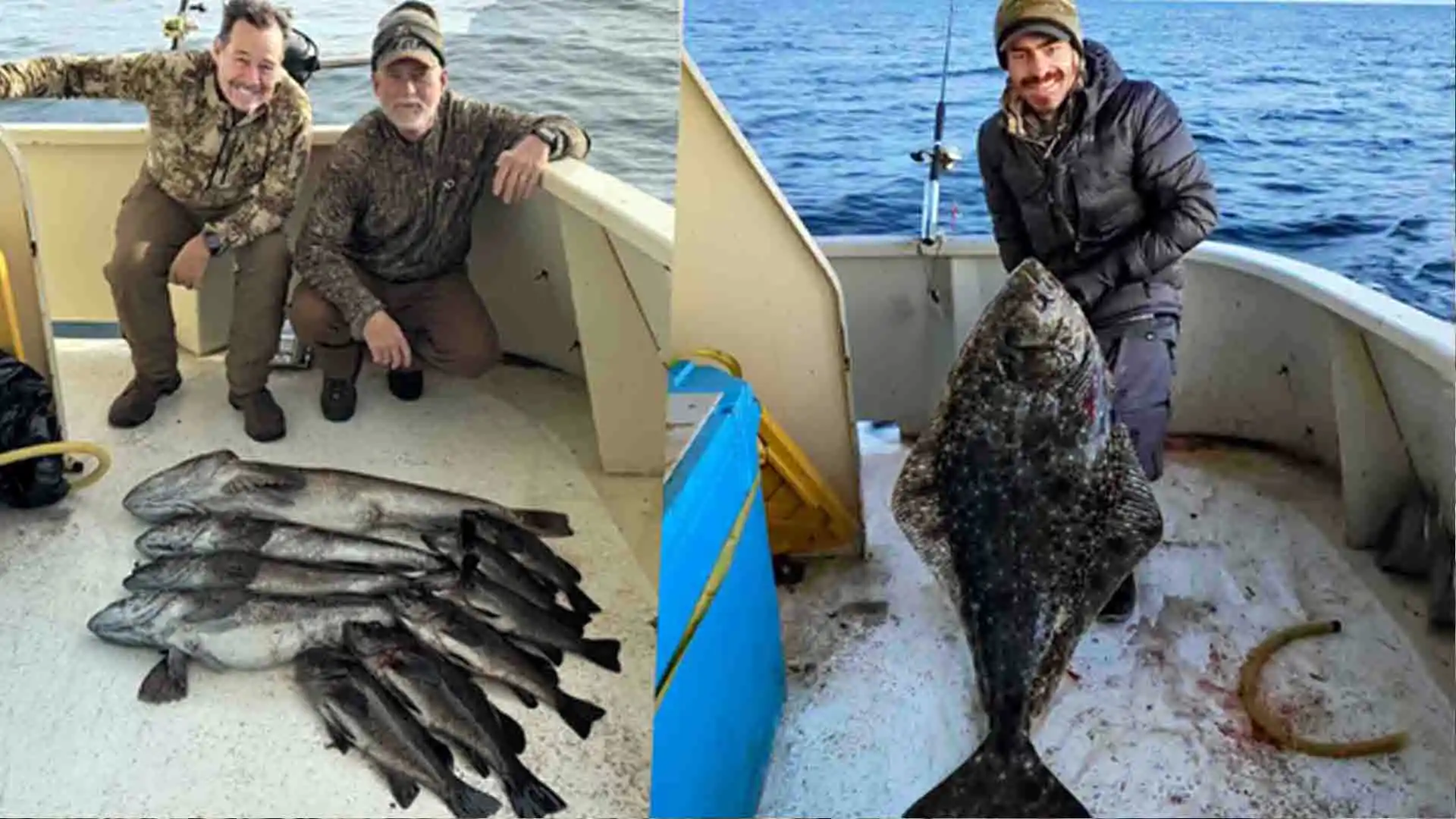 Halibut and More Fish for Halibut, salmon, rockfish, lingcod and more with this liveaboard Alaska adventure.