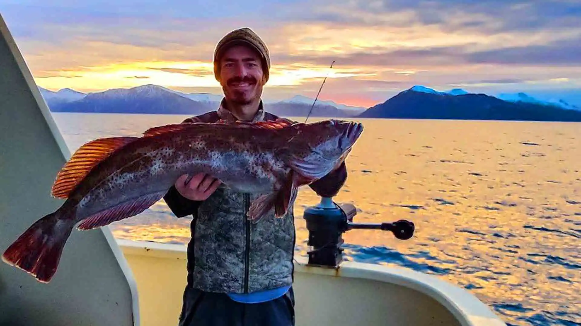 Lingcod Fishing Lingcod are known for their aggressive nature and substantial size, offer a thrilling challenge to anglers. The optimal time to target lingcod in Sitka is between May and September. A variety of techniques, including jigging and bait fishing are employed.