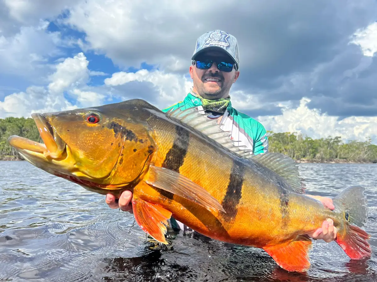 River Plate Peacock Bass River Plate Anglers Peacock Bass Fishing
