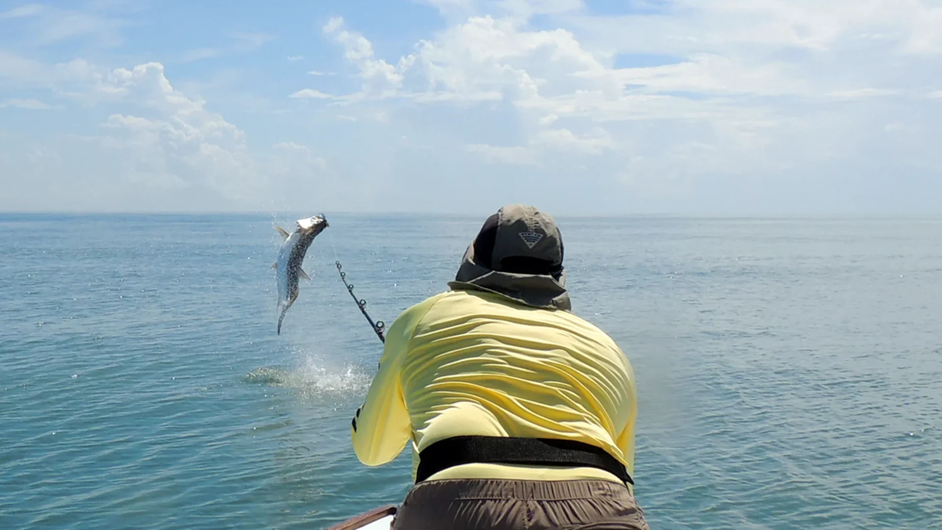 Bow to the King Angler Bowing to a Tarpon on the Line