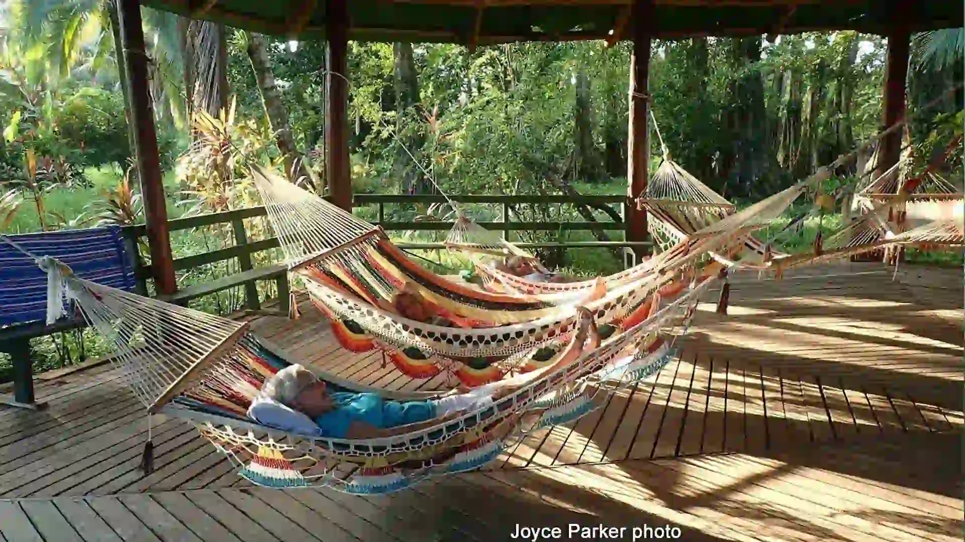 Hammock Pavilion After a tarpon battle, anglers enjoy unwinding in the covered hammock pavilion at Rio Parismina Lodge