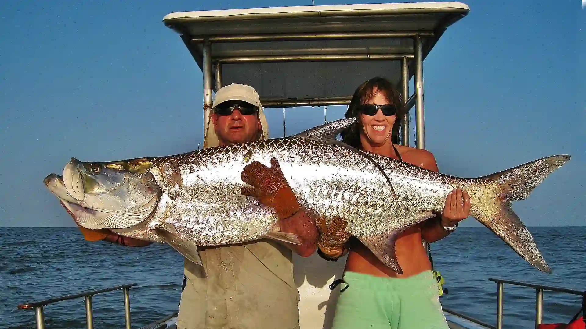 Large Tarpon Fly, spin, or lure fish Costa Rica's Caribbean side for large tarpon with Rio Parismina Lodge.