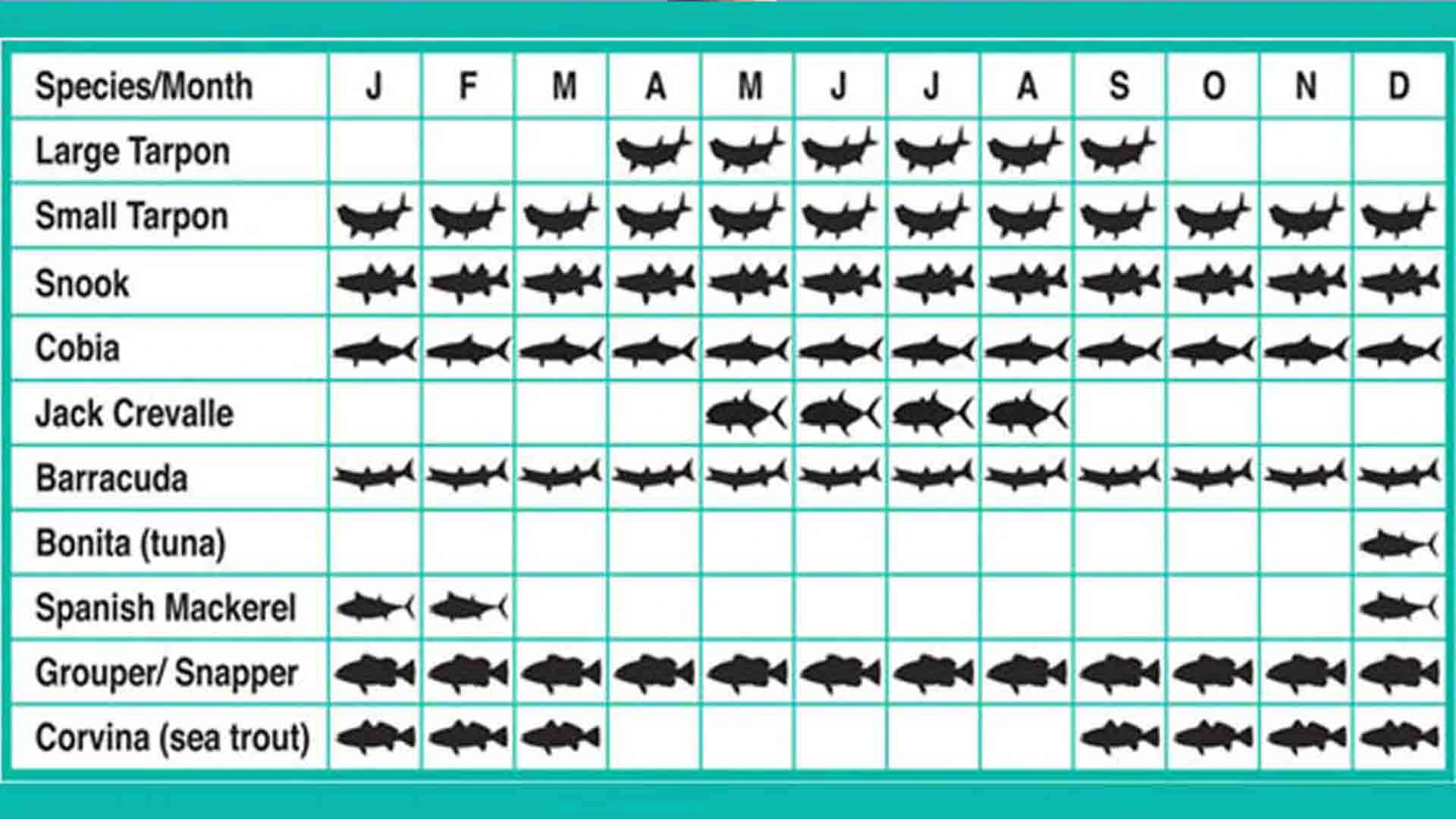 Holbox Species Fishing chart and species for Tarpon Club Isla Holbox