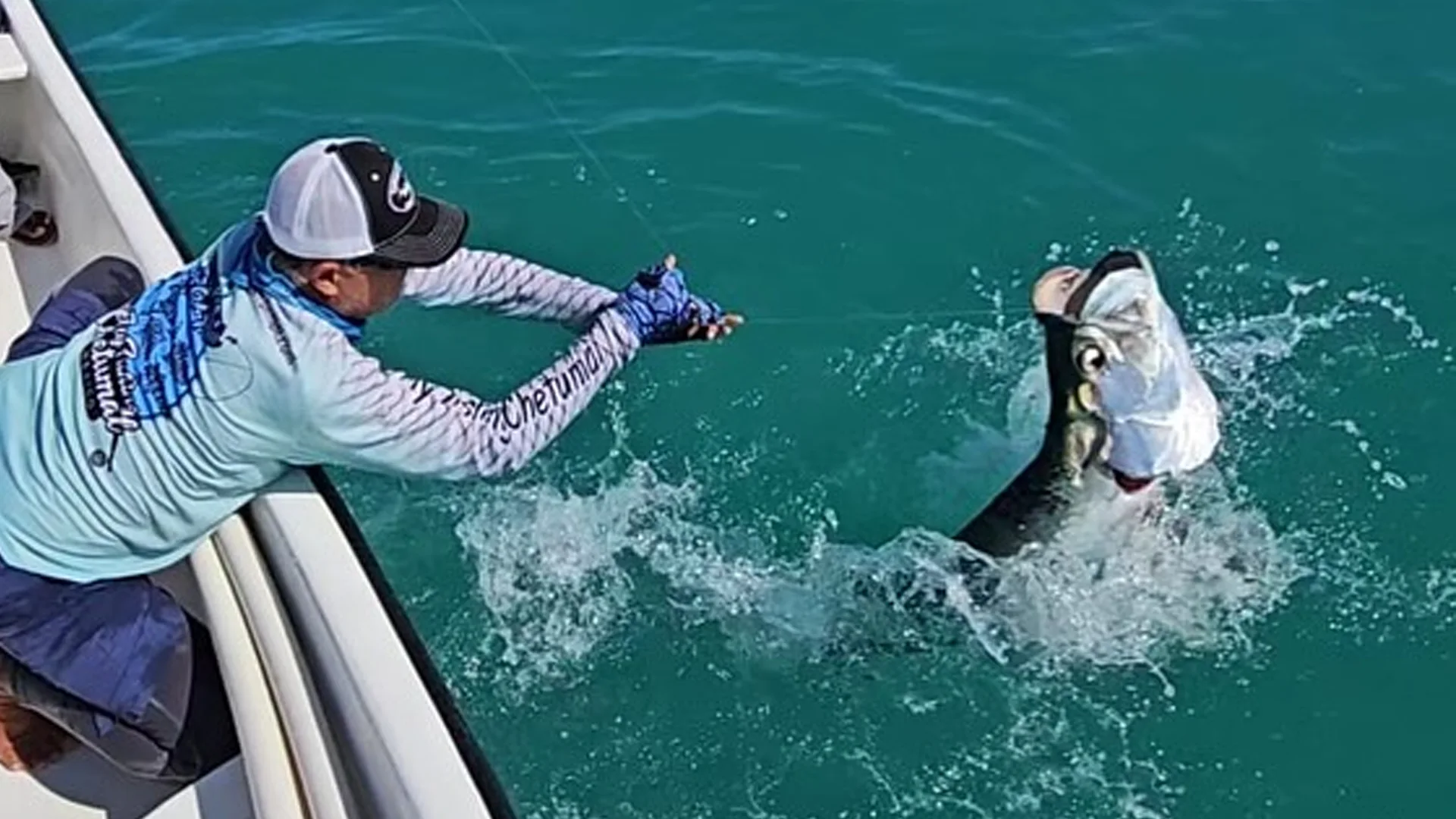 Holbox Large Tarpon Two Guides Holding Tarpon Over the Side of the Boat