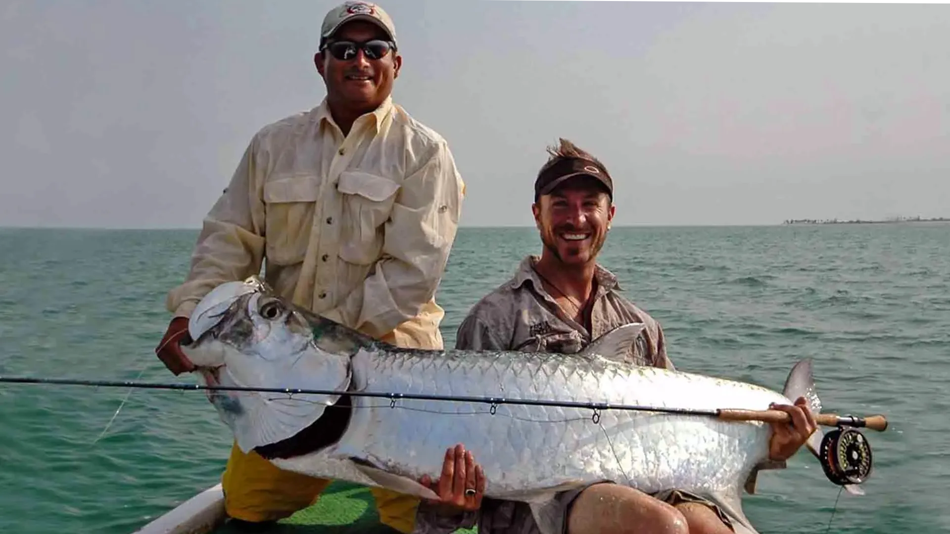Large Tarpon Two Guides Holding Tarpon Over the Side of Boat