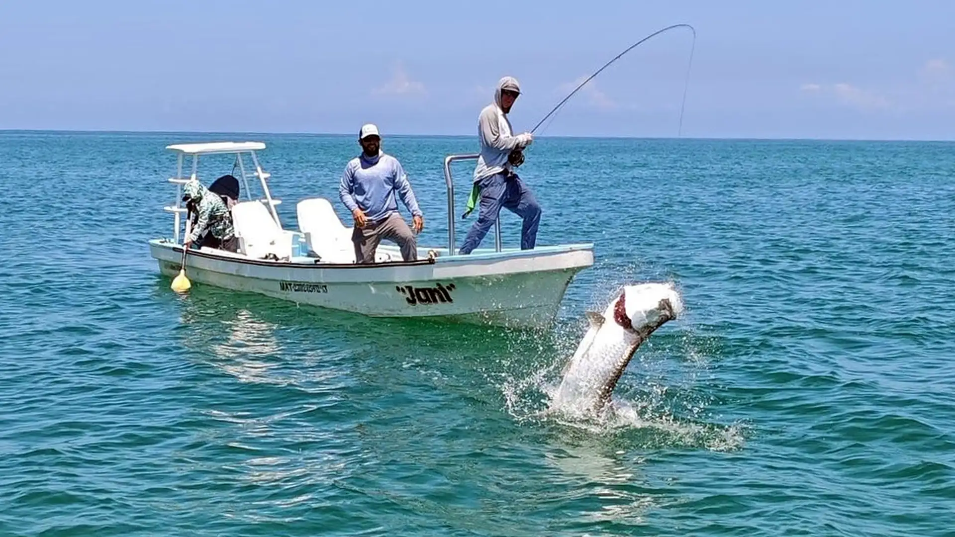 Holbox Large Tarpon Two Guides Holding Tarpon Over the Side of the Boat