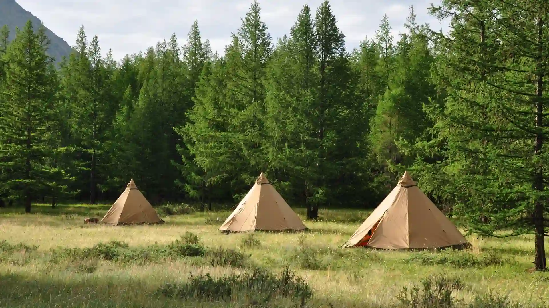 Nordic-Style Teepees You'll stay in Nordic-style teepees for this special taimen fishing adventure in Mongolia.