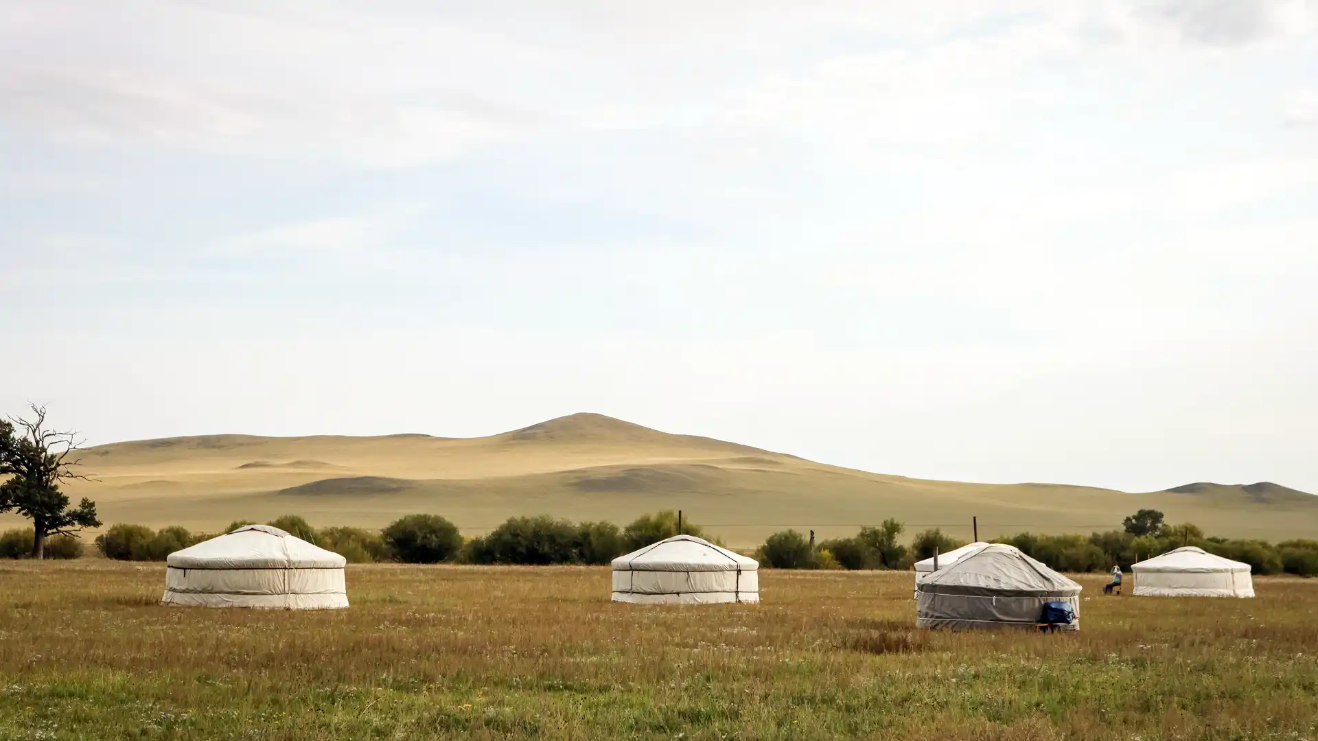 Gers Gers are situated along this special taimen fishing river in western Mongolia.